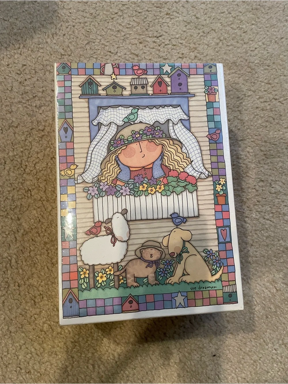 Vintage Sue Dreamer video and storage box